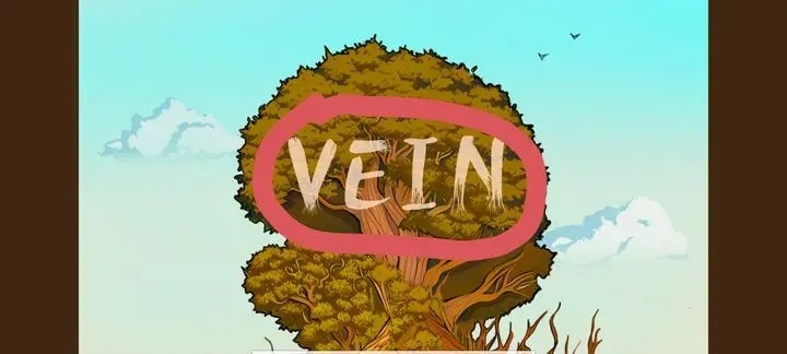 Vein
