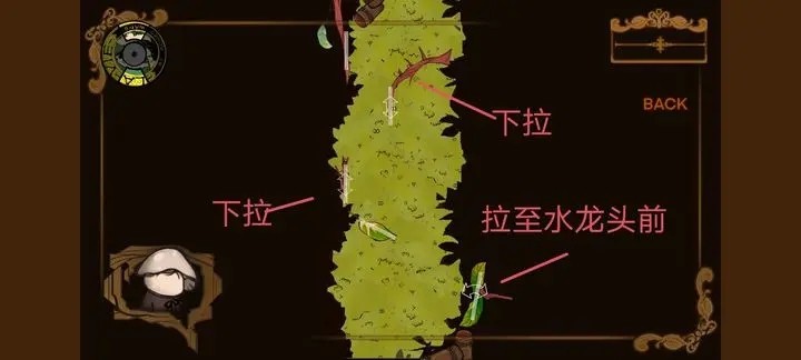 Vein