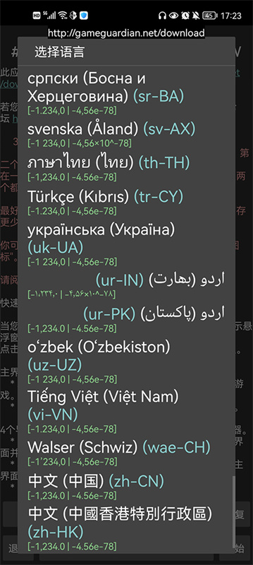 GG中文版