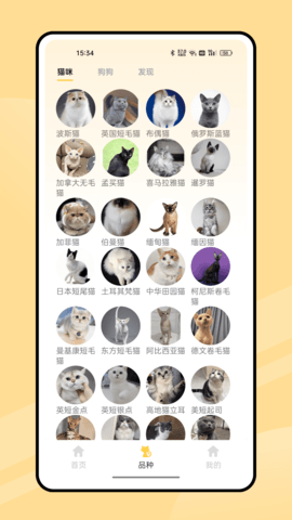 有宠截图2