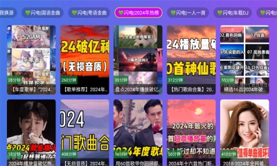 闪电音乐截图1