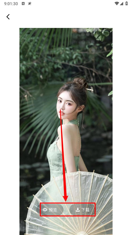 海豚壁纸