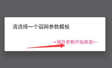 金砖弱网2025