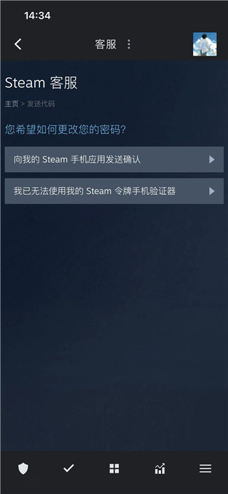 steam正版