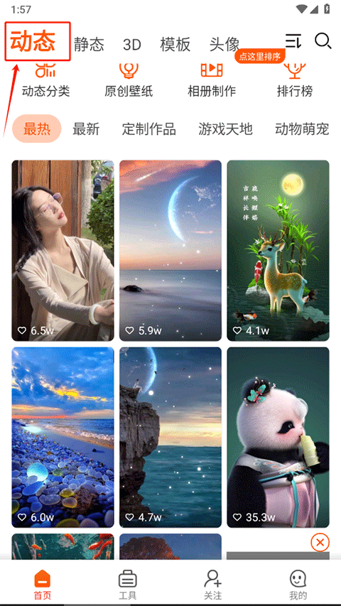 壁纸精灵
