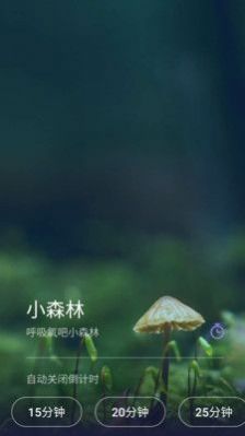 Life睡眠截图3