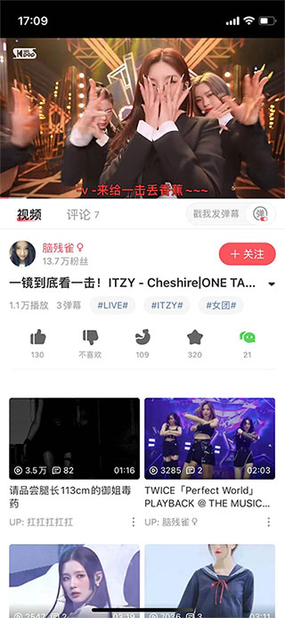 当鸟动漫免会员版