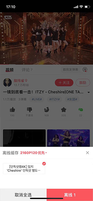 当鸟动漫免会员版