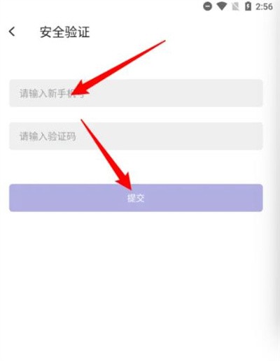 乐感浏览器极速版