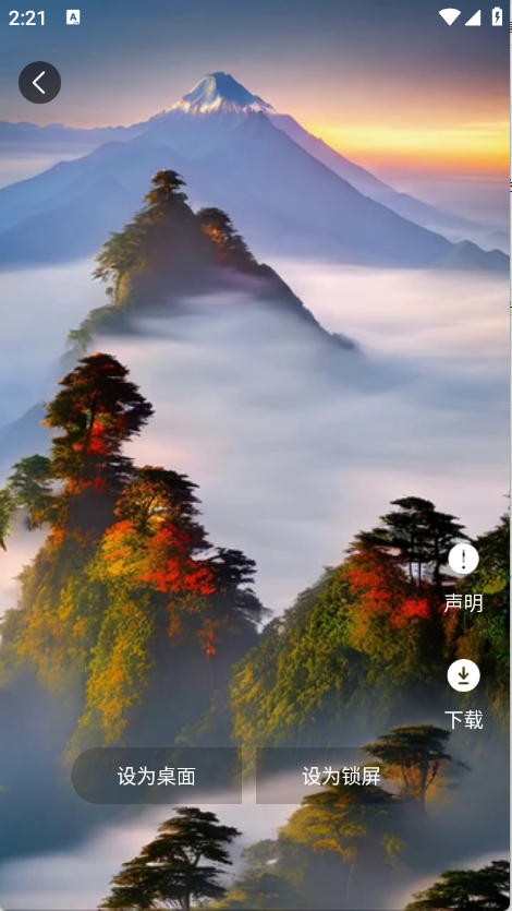 蝴蝶壁纸截图2