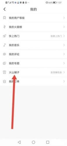 火山小视频极速版