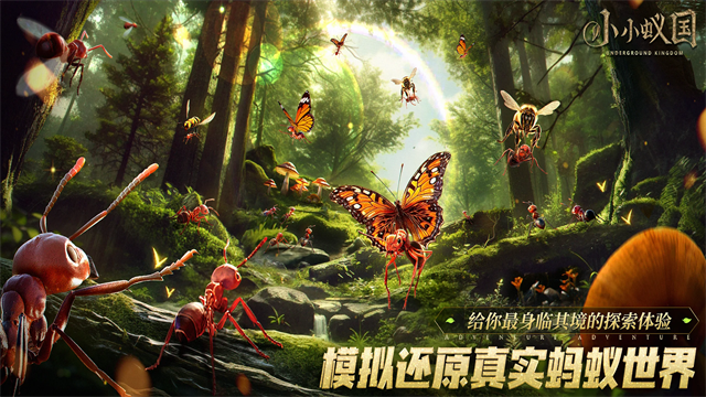 蚂蚁地下王国截图3