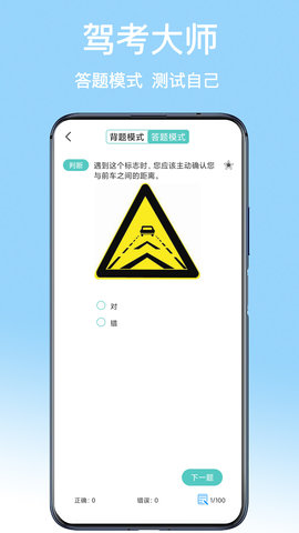 驾考大师截图1