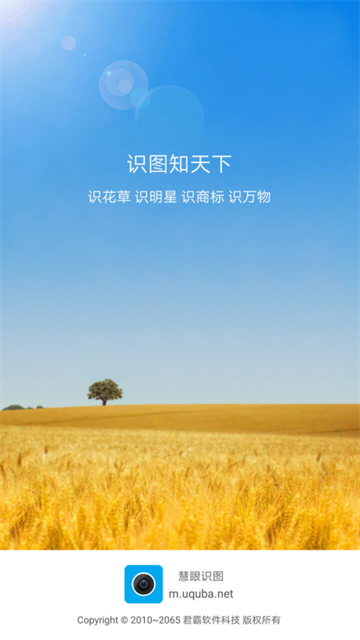 慧眼识图