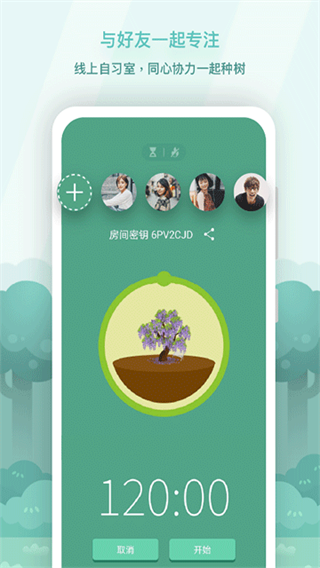 forest截图4