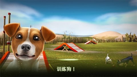 我的寄宿狗屋截图3