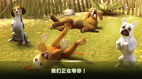 我的寄宿狗屋截图0