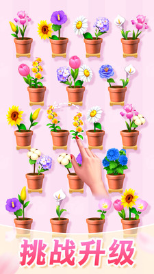 插花消除免广告版截图1