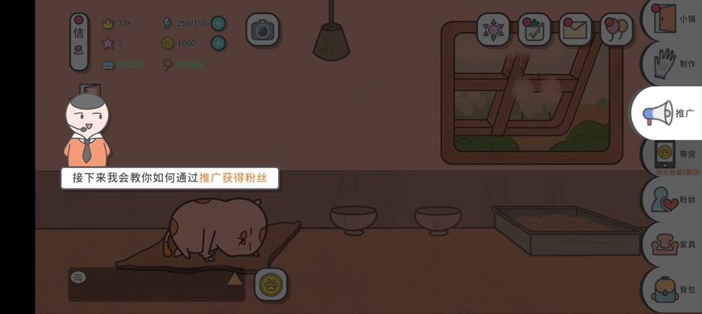 主播和猫的故事