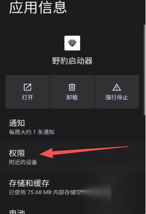 野豹启动器