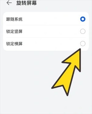 bobo浏览器无国界全球通