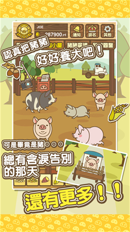 养猪场mix中文版截图2