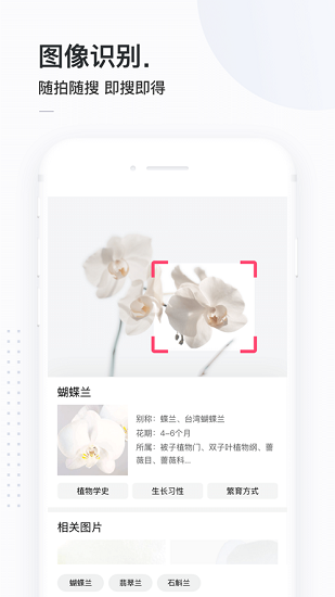简单搜索冲顶神器手机版截图3