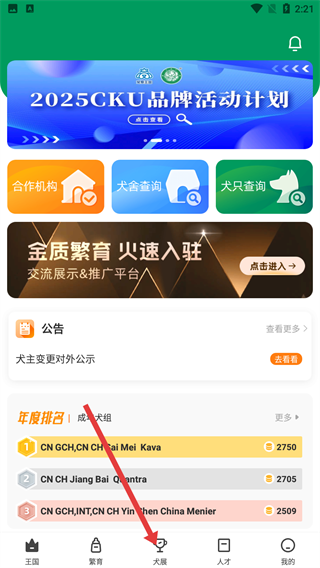 宠爱王国