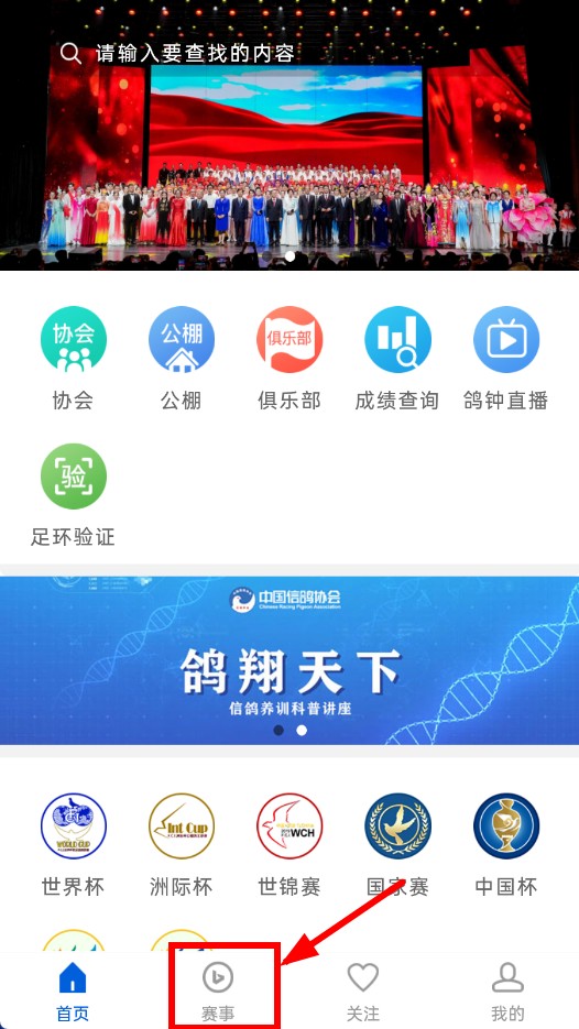 中国信鸽协会最新