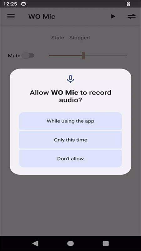 Womic麦克风截图3