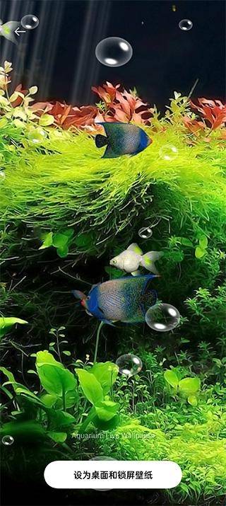 水族馆动态壁纸安卓版