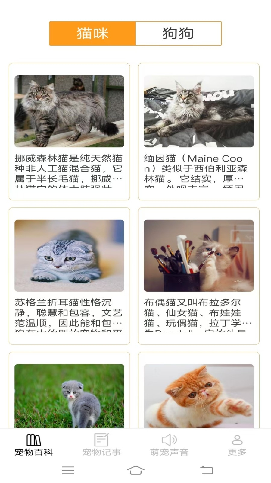 宠趣点点正版截图2