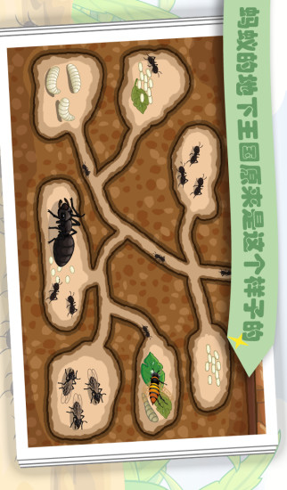 蚂蚁截图2