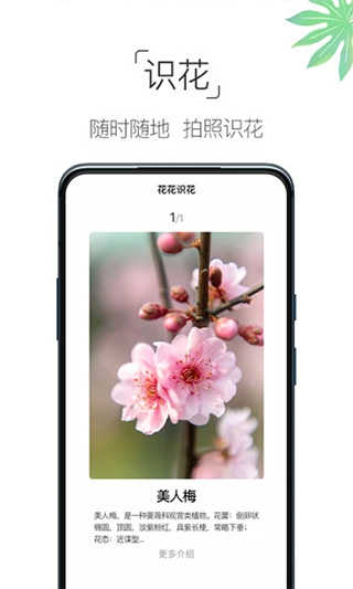 养花大全截图2