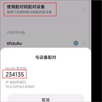 安装狮正版