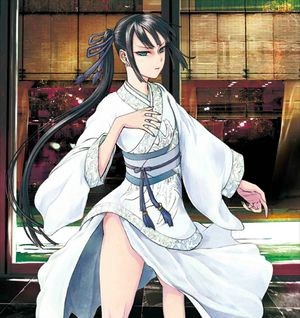 命运冠位指定b站版