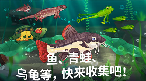 池趣截图1