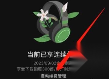 汽水音乐最新版