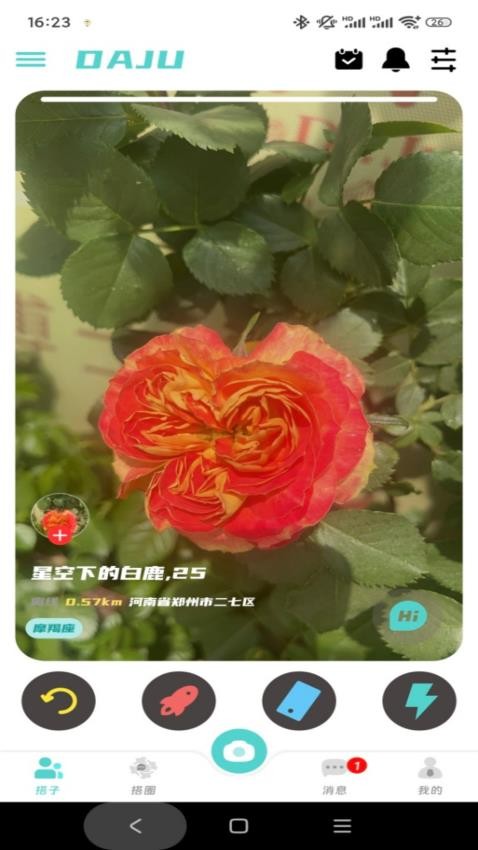 搭聚截图3