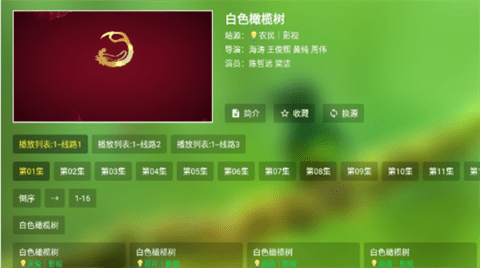 宝全视界