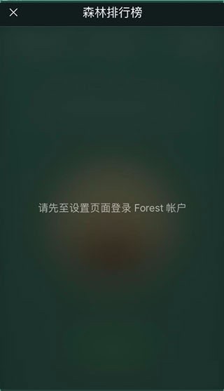 专注森林