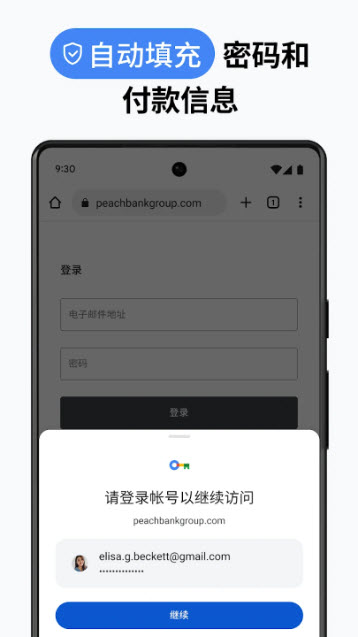 chrome截图3