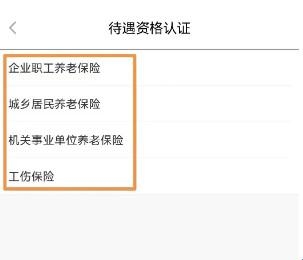 江苏智慧人社养老认证