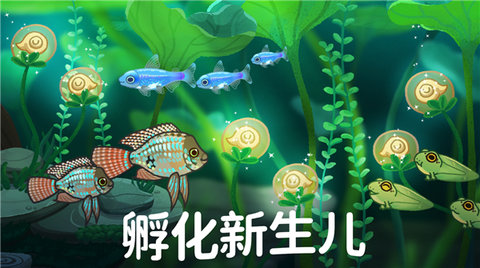 池趣截图2