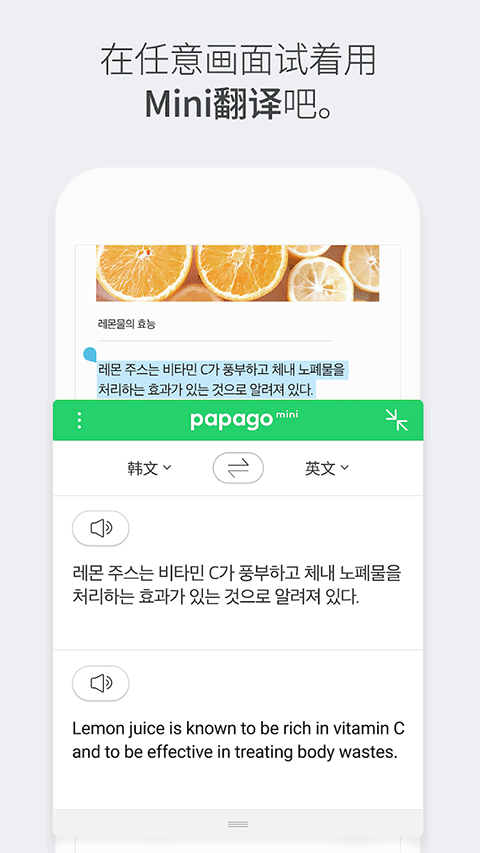 Papago安卓版截图4