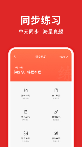 题拍拍app截图4