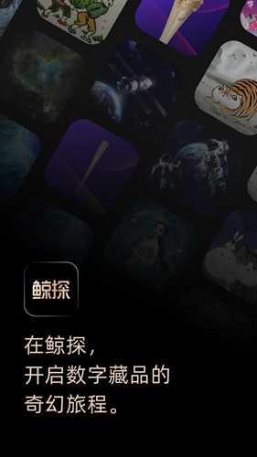 鲸探数字藏品截图0