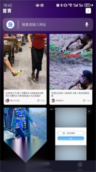 S浏览器截图3