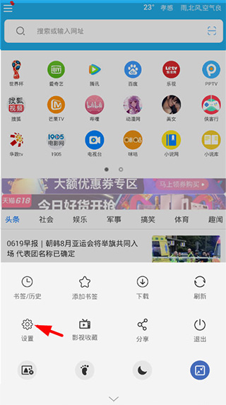 VIP浏览器