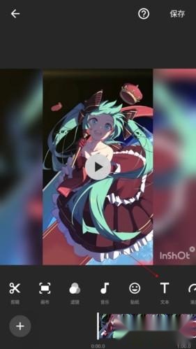lnShot